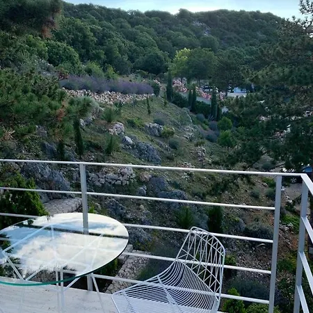 Apartment Shimmer & Shine