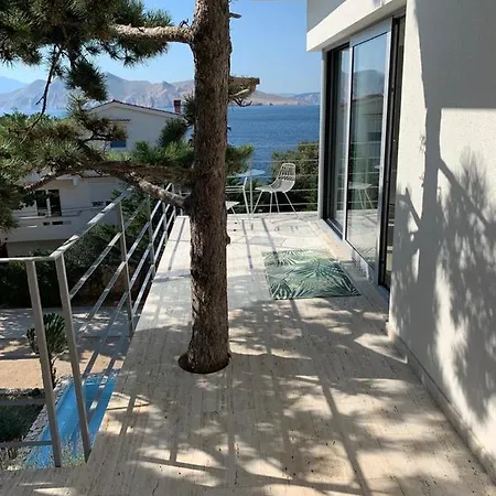 Apartment Shimmer & Shine