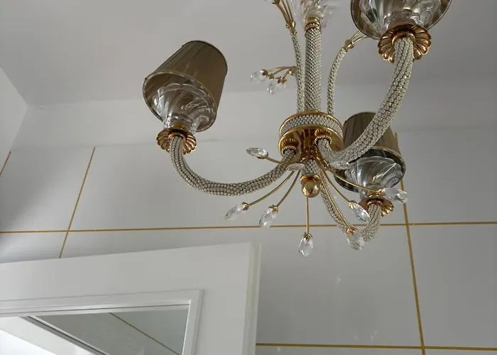 Apartment Shimmer & Shine