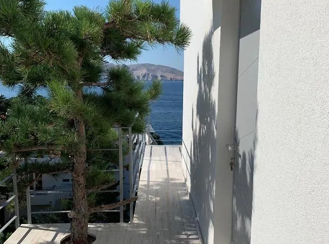 Shimmer&shine * Baška