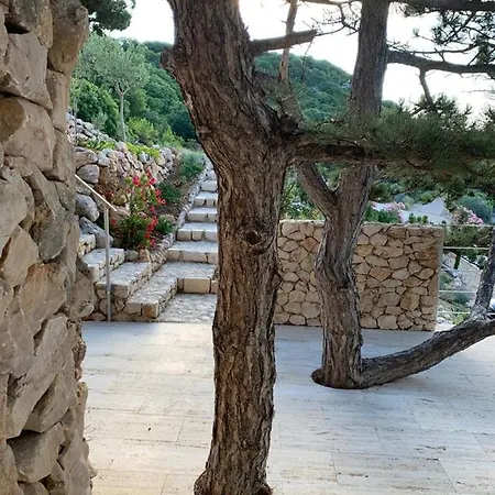 Shimmer & Shine * באסקה