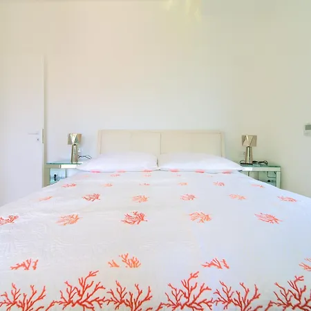 Shimmer & Shine דירה