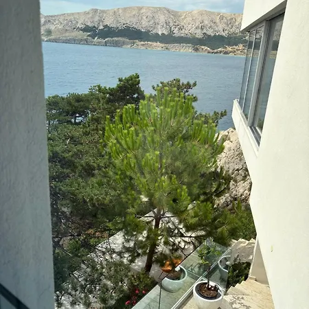 Shimmer & Shine דירה