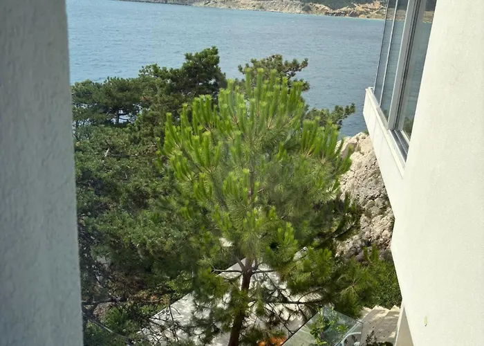 Shimmer & Shine Apartmán